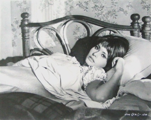 Sophia Loren Five Miles To Midnight 1962 NSF
