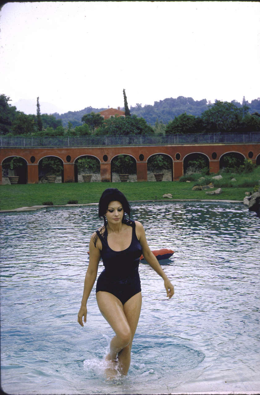 Sophia Loren In Rome 1964 NSF