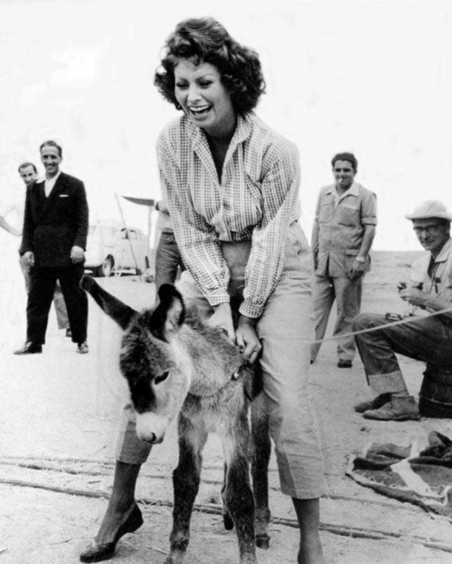 Sophia Loren Riding A Donkey 1957 NSF