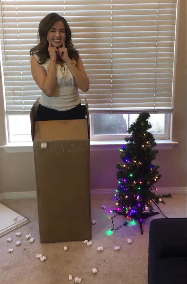 Surprise Your Christmas Gift Is Pokimane Do Whatever You Want With It NSF
