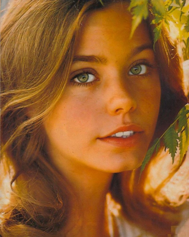 Susan Dey In The 1970s NSF