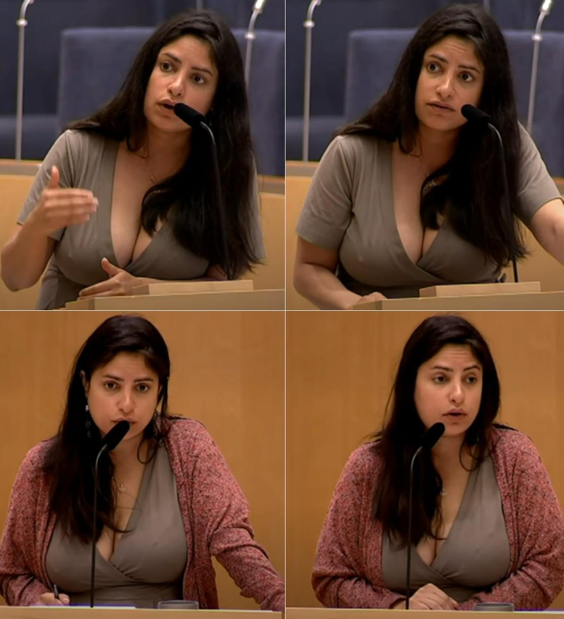 Swedish Politician Nooshi Dadgostar NSFW