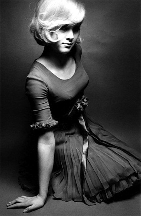 Sylvie Vartan 1965 By Jeanloup Sieff NSF