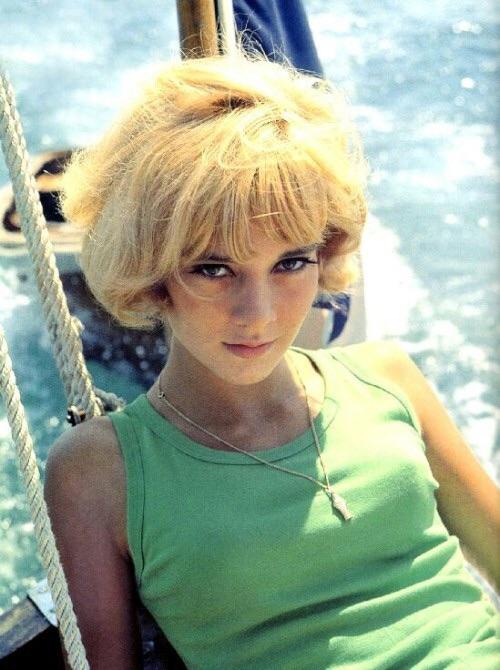 Sylvie Vartan NSFW