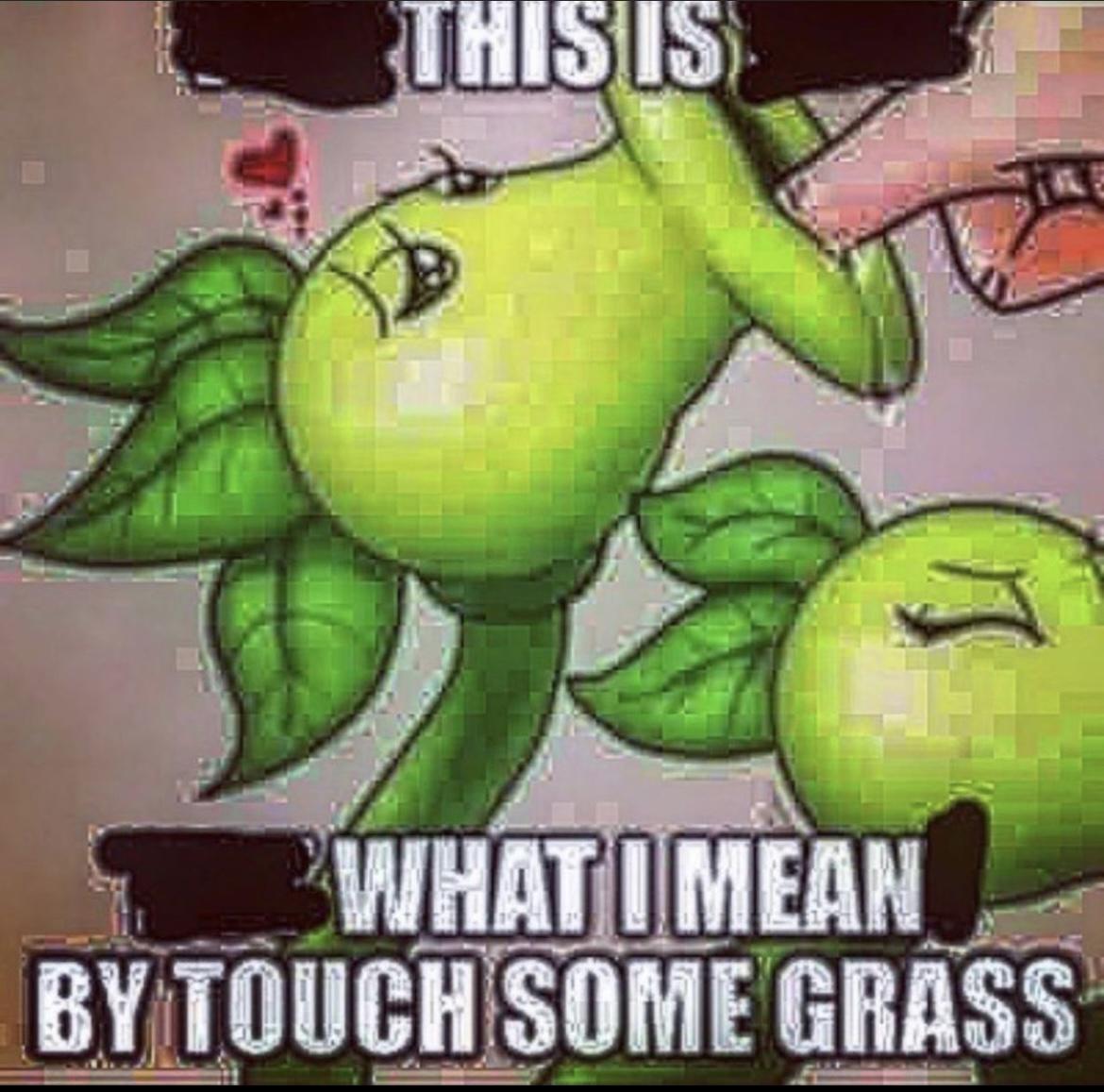Touch Grass King NSF