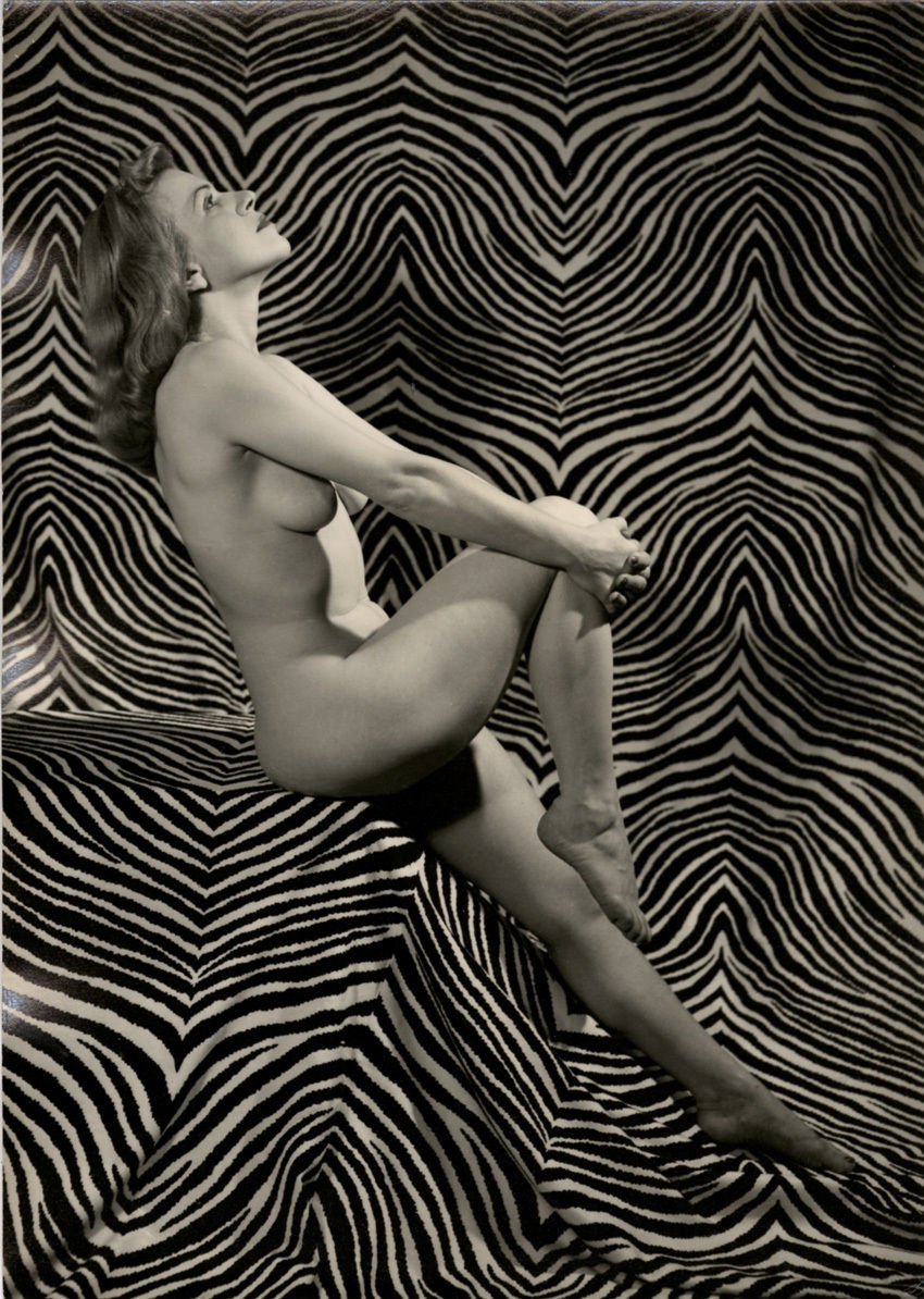 Zebra Girl 1950s Unknown Nude By Hal Conley NSF