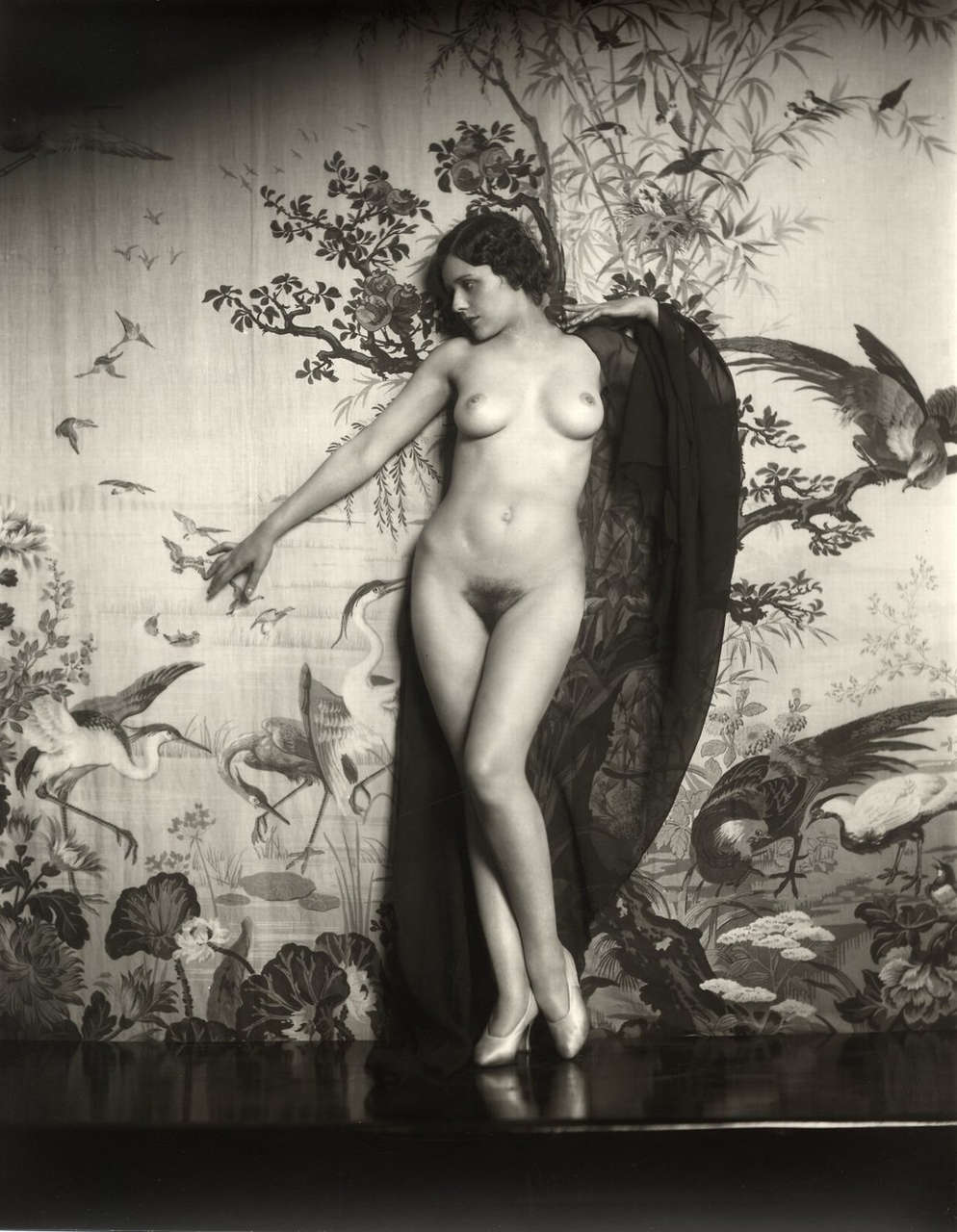 Ziegfeld Girl Photographed By Alfred Cheney Johnston NSF